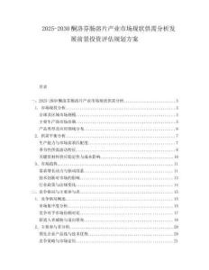 2025-2030酮洛芬腸溶片產業市場現狀供需分析發展前景投資評估規劃方案
