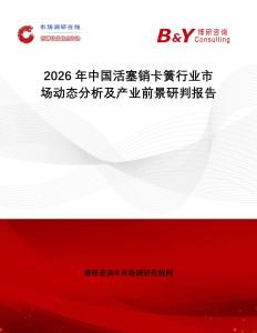 2026年中國活塞銷卡簧行業(yè)市場動態(tài)分析及產(chǎn)業(yè)前景研判報告