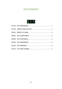 知識產(chǎn)權(quán)國際保護(hù)