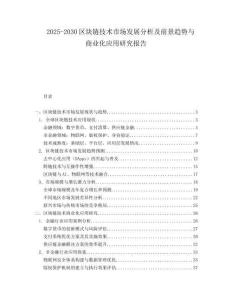 2025-2030區塊鏈技術市場發展分析及前景趨勢與商業化應用研究報告
