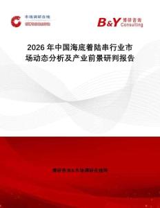 2026年中國(guó)海底著陸串行業(yè)市場(chǎng)動(dòng)態(tài)分析及產(chǎn)業(yè)前景研判報(bào)告
