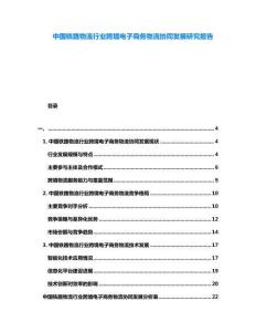 中國鐵路物流行業跨境電子商務物流協同發展研究報告