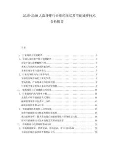 2025-2030人造纖維行業(yè)能耗現(xiàn)狀及節(jié)能減排技術(shù)分析報(bào)告