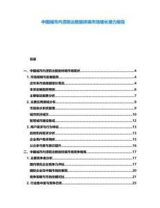 中國城市內澇防治智能終端市場增長潛力報告