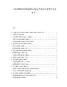 中醫(yī)藥知識圖譜構(gòu)建技術(shù)難點與臨床決策支持應用報告