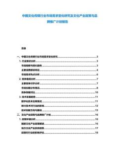 中國文化傳媒行業(yè)市場需求變化研究及文化產(chǎn)業(yè)政策與品牌推廣計劃報告