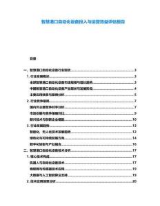 智慧港口自動(dòng)化設(shè)備投入與運(yùn)營(yíng)效益評(píng)估報(bào)告