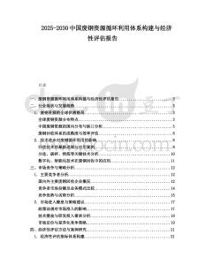 2025-2030中國廢鋼資源循環利用體系構建與經濟性評估報告