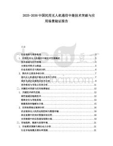 2025-2030中國民用無人機通信中繼技術突破與應用場景驗證報告