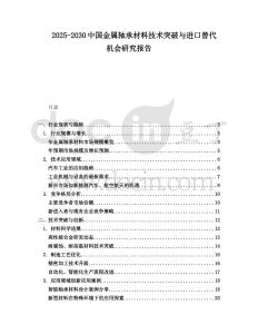 2025-2030中國(guó)金屬軸承材料技術(shù)突破與進(jìn)口替代機(jī)會(huì)研究報(bào)告