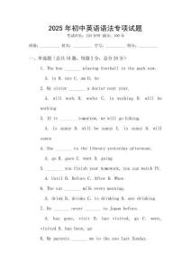 2025年初中英語語法專項試題