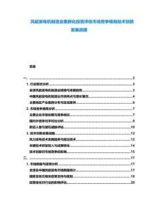 風(fēng)能發(fā)電機(jī)制造業(yè)集群化投資評(píng)估市場(chǎng)競(jìng)爭(zhēng)格局技術(shù)創(chuàng)新發(fā)展戰(zhàn)略