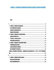 中國無人駕駛技術(shù)發(fā)展現(xiàn)狀及商業(yè)化路徑與風(fēng)險評估報告