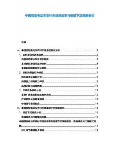 中國微型電動車農村市場滲透率與渠道下沉策略報告