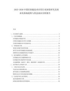 2025-2030中國區塊鏈技術應用行業深度研究及商業化落地趨勢與資金流向分析報告