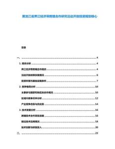 黑龍江省界江經(jīng)濟帶跨境合作研究沿邊開放投資規(guī)劃核心