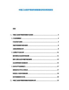 中國工業窯爐用耐熱鋼板服役壽命預測報告