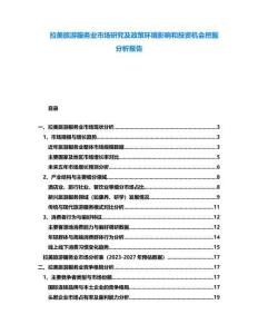拉美旅游服務(wù)業(yè)市場(chǎng)研究及政策環(huán)境影響和投資機(jī)會(huì)挖掘分析報(bào)告