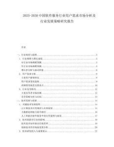 2025-2030中國軟件服務(wù)行業(yè)用戶需求市場(chǎng)分析及行業(yè)發(fā)展策略研究報(bào)告