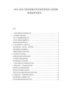 2025-2030中國區(qū)塊鏈應(yīng)用市場供需狀況與投資戰(zhàn)略規(guī)劃研究報(bào)告