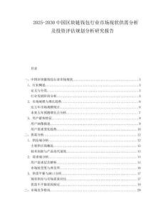 2025-2030中國區塊鏈錢包行業市場現狀供需分析及投資評估規劃分析研究報告