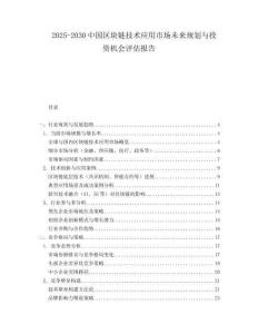 2025-2030中國區塊鏈技術應用市場未來規劃與投資機會評估報告