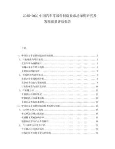2025-2030中國(guó)汽車(chē)零部件制造業(yè)市場(chǎng)深度研究及發(fā)展前景評(píng)估報(bào)告