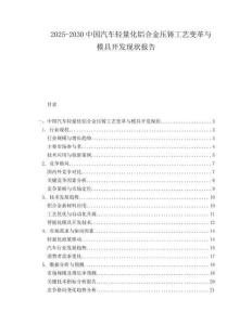 2025-2030中國(guó)汽車(chē)輕量化鋁合金壓鑄工藝變革與模具開(kāi)發(fā)現(xiàn)狀報(bào)告