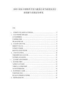 2025-2030中國軟件開發(fā)與服務(wù)行業(yè)當(dāng)前狀況及行業(yè)創(chuàng)新與市場(chǎng)定位研究
