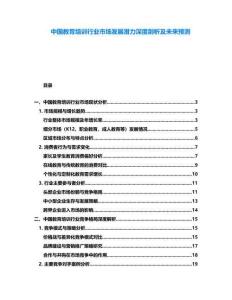 中國教育培訓(xùn)行業(yè)市場(chǎng)發(fā)展?jié)摿ι疃绕饰黾拔磥眍A(yù)測(cè)