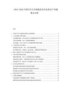 2025-2030中國汽車后市場服務(wù)競爭態(tài)勢及產(chǎn)業(yè)鏈整合分析