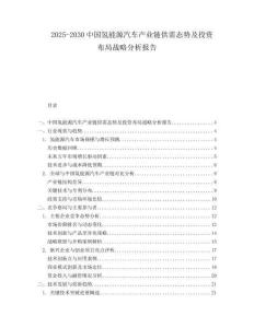 2025-2030中國氫能源汽車產(chǎn)業(yè)鏈供需態(tài)勢及投資布局戰(zhàn)略分析報告