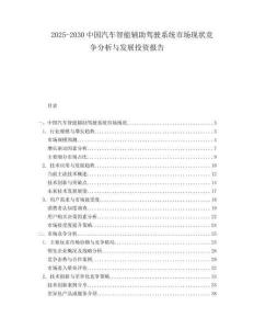 2025-2030中國汽車智能輔助駕駛系統市場現狀競爭分析與發展投資報告