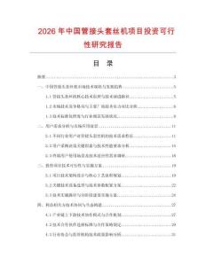 2026年中國管接頭套絲機(jī)項(xiàng)目投資可行性研究報(bào)告