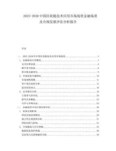 2025-2030中國區塊鏈技術應用市場現狀金融場景及合規發展評估分析報告