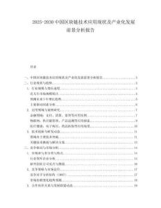 2025-2030中國區塊鏈技術應用現狀及產業化發展前景分析報告