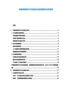 中國消費電子行業現狀及投資前景分析報告