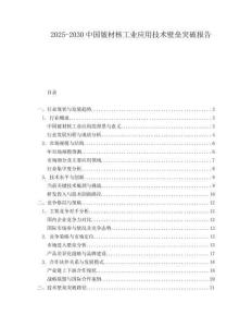 2025-2030中國(guó)鈹材核工業(yè)應(yīng)用技術(shù)壁壘突破報(bào)告
