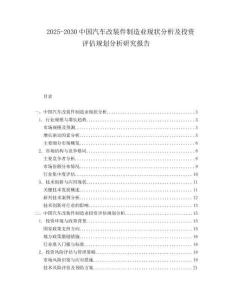 2025-2030中國汽車改裝件制造業現狀分析及投資評估規劃分析研究報告