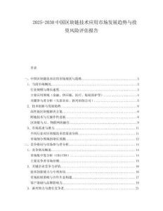 2025-2030中國區塊鏈技術應用市場發展趨勢與投資風險評估報告