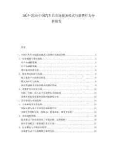 2025-2030中國(guó)汽車后市場(chǎng)服務(wù)模式與消費(fèi)行為分析報(bào)告
