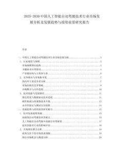2025-2030中國人工智能自動駕駛技術行業市場發展分析及發展趨勢與投資前景研究報告