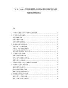2025-2030中國區塊鏈技術應用市場發展趨勢與投資價值分析報告