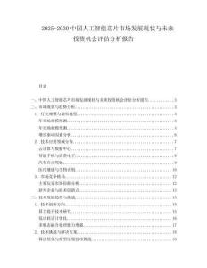 2025-2030中國人工智能芯片市場發展現狀與未來投資機會評估分析報告