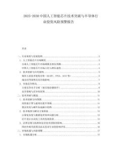 2025-2030中國人工智能芯片技術突破與半導體行業投資風險預警報告