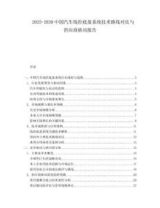 2025-2030中國汽車線控底盤系統技術路線對比與供應商格局報告