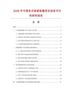 2026年中國各式鎖緊墊圈項目投資可行性研究報告