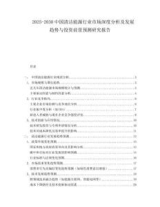 2025-2030中國清潔能源行業(yè)市場深度分析及發(fā)展趨勢與投資前景預(yù)測研究報告
