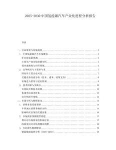 2025-2030中國氫能源汽車產(chǎn)業(yè)化進(jìn)程分析報告