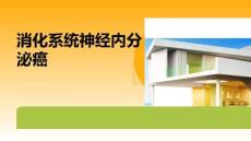 消化系統(tǒng)神經(jīng)內(nèi)分泌癌